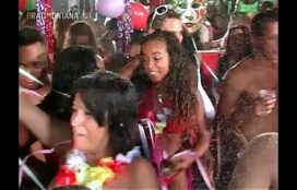 Carnaval Das brasileirinha